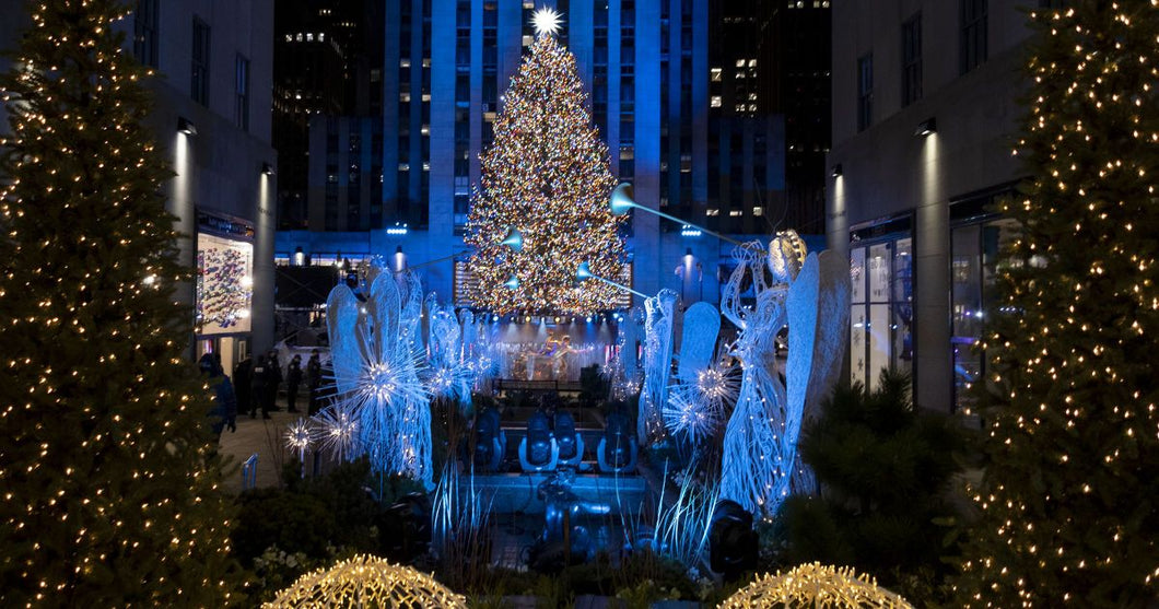 [e2e Downsell] Paused offer